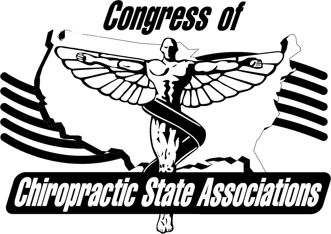 CONGRESS OF CHIROPRACTIC STATE ASSOCIATIONS CONGRESS OF CHIROPRACTIC STATE ASSOCIATIONS