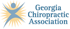 GEORGIA CHIROPRACTIC ASSOCIATION