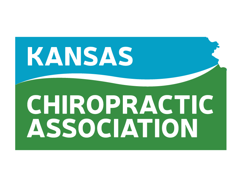 INTERNATIONAL CHIROPRACTORS ASSOCIATION OF INDIANA