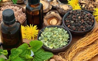 Nootropics and Adaptogens: What’s the Big Deal? 🌿☕🧠