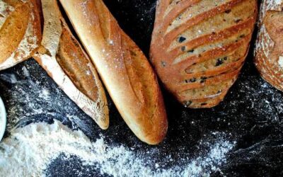 Crumb Theory: Why Sourdough Bread Is More Than a Trend (and Might Be Better for Your Gut)